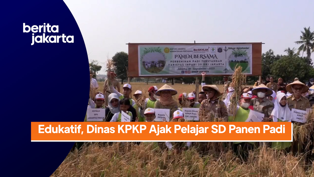 1809_Ramdhoni_Dinas KPKP Ajak Pelajar SD Panen Padi di Cakung.mp4