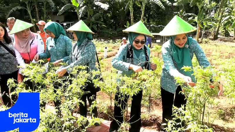  Tinjau PKK Papanggo, Dewi Rano Ajak Kader Perkuat Sinergi