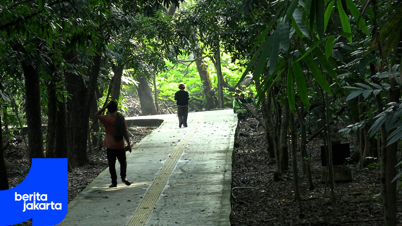 revHutan Kota Srengseng.mp4