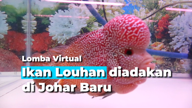 2001_Gerald_lomba virtual louhan.mp4