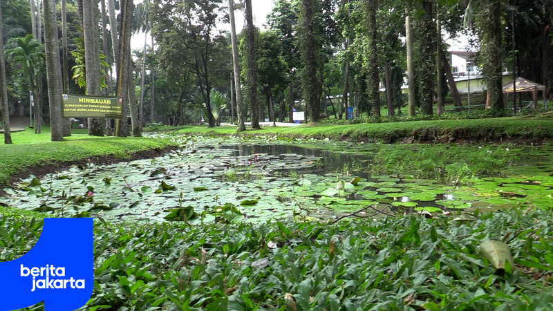 Bendera Pusaka Park Becomes a Multifunctional Space in Jakarta
