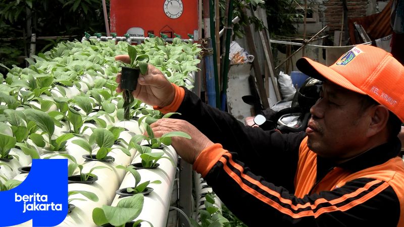 PPSU Krukut Ubah Lahan Kosong Jadi Mini Farm