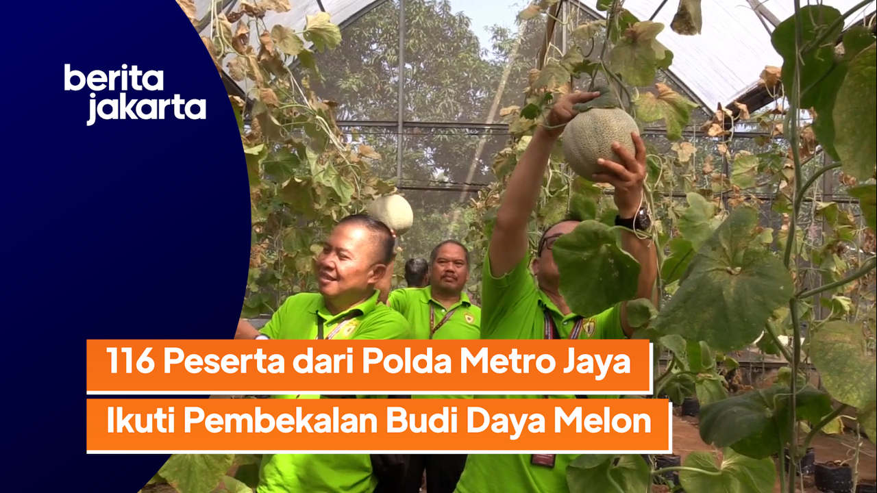 3108_Ramdhoni_200 Peserta Belajar Pembekalan Budidaya Melon di Agro Wisata Cilangkap.mp4