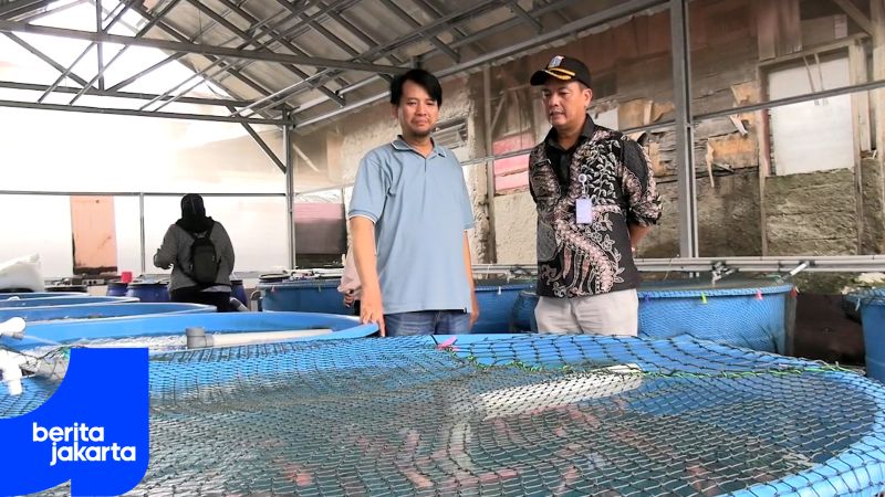 swara hijau farm .mp4