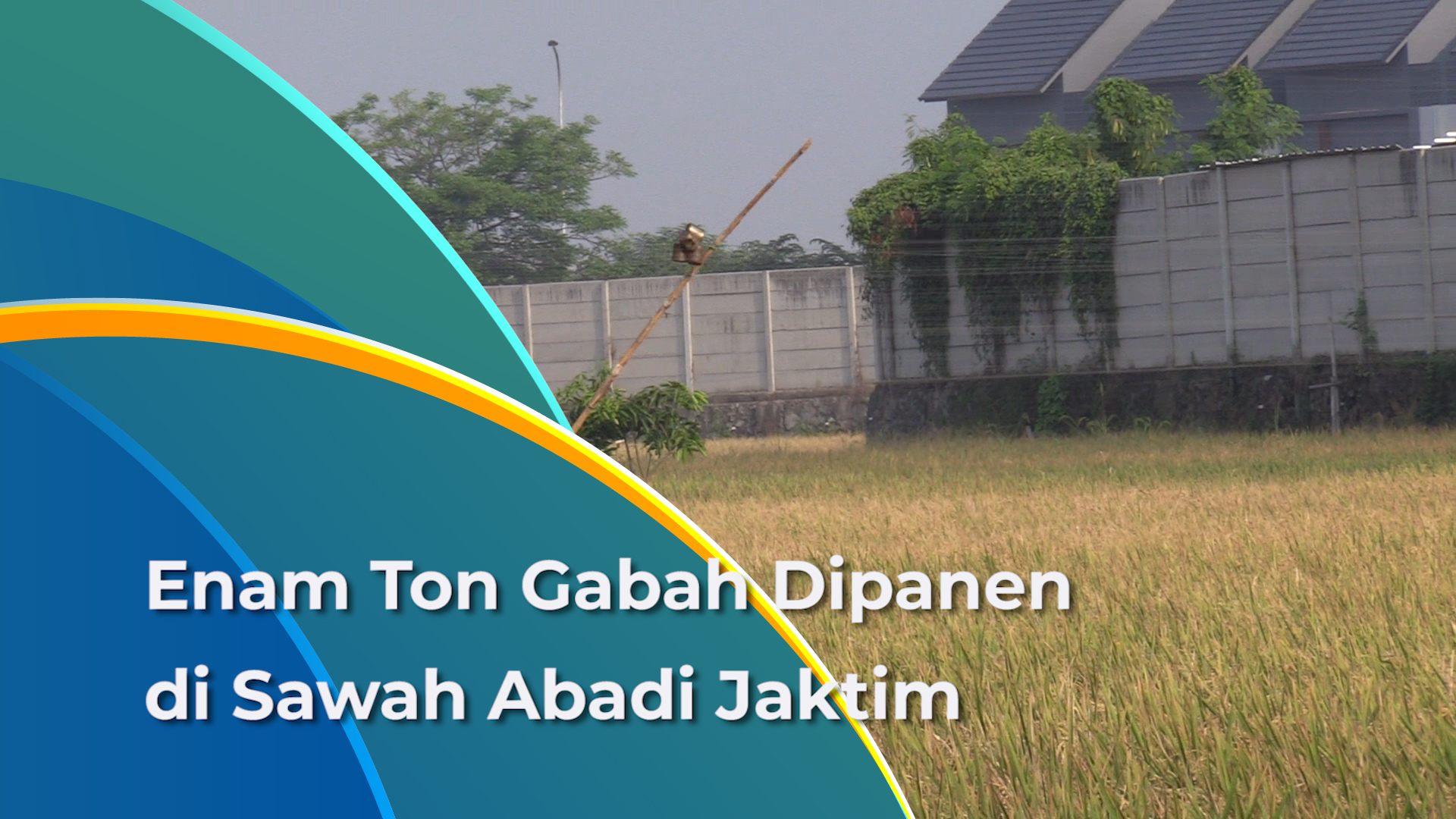 2909_Ramdhoni_Enam Ton Gabah Dipanen di Sawah Abadi Ujung Menteng.mp4