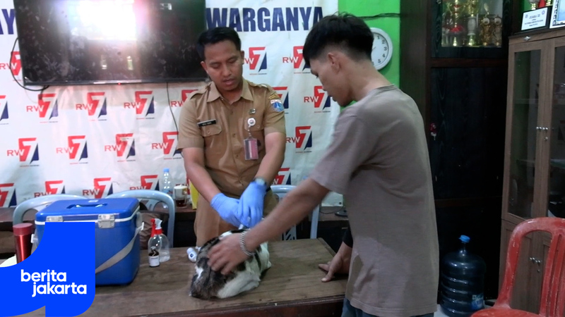 North Jakarta KPKP Sub-agency Vaccinated 3,308 Pets in First Quarter of 2025