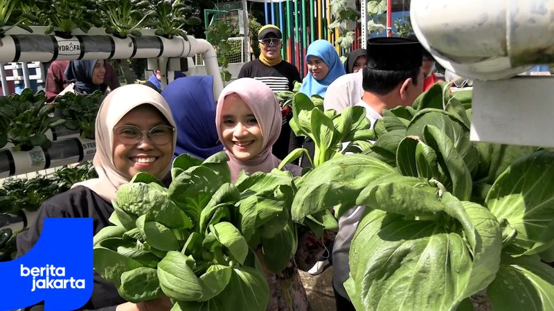 Butternut Squash and Golden Melon Harvested at Jakarta’s Kalijodo Park