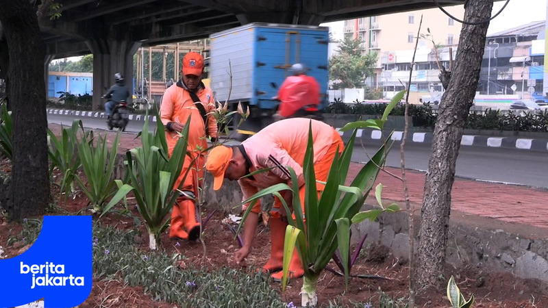 Penataan Kawasan di Jalan Lodan Raya Capai 95 Persen