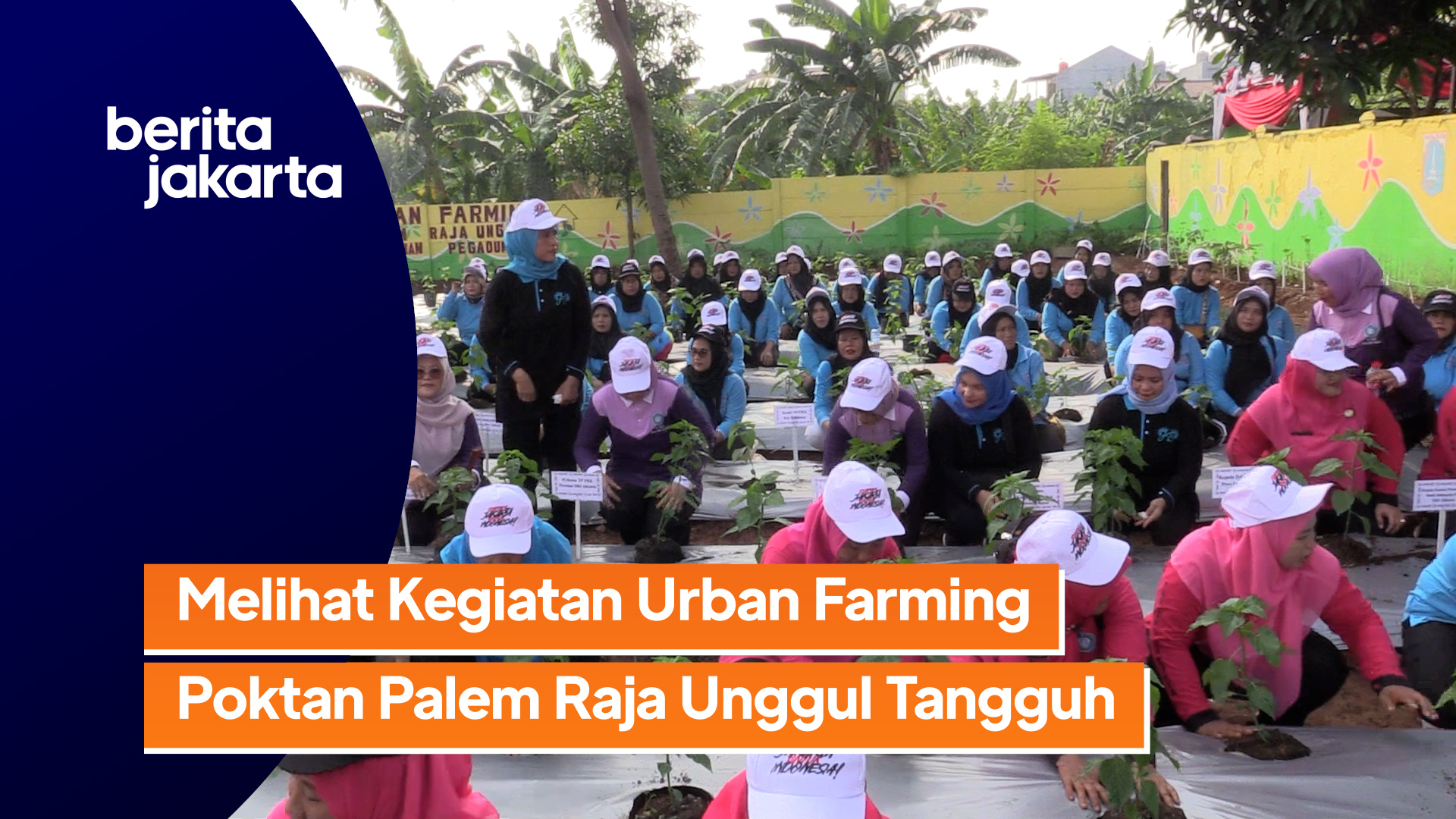 2912_Ramdhoni_urban farming pegadungan.mp4