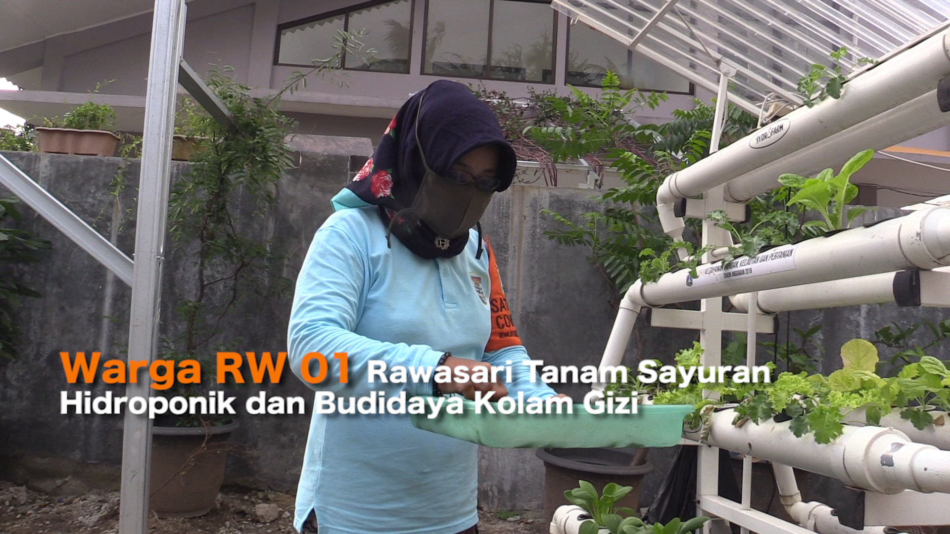 1802_ANITA_Warga RW 01 Rawasari Tanam Sayuran Hidroponik dan Budidaya Kolam Gizi1.mp4