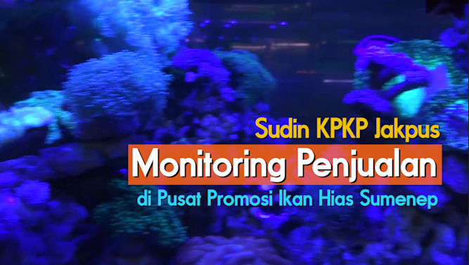 0401_adi_pusatpromoikanhiassumenep.mp4