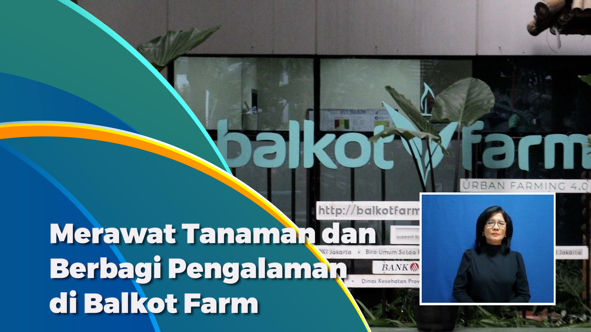 int Merawat Tanaman dan Berbagi Pengalaman di Balkot Farm.mp4