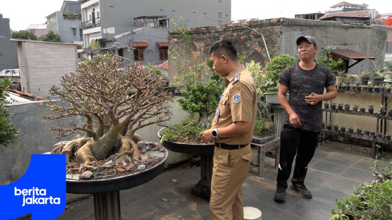 Kampung Bali Kembangkan Bonsai Jadi Ikon Baru