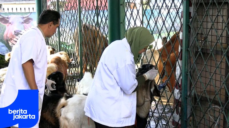 Masyarakat Diimbau Gunakan Bungkus Daging Ramah Lingkungan