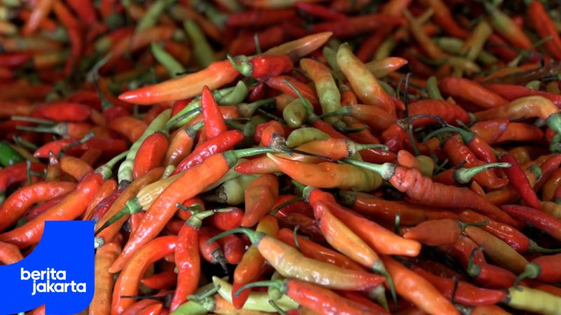 Jakarta Inflation Remains Under Control Amid Spike in Chili Prices