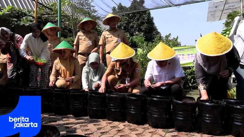 Cabe Tanam.mp4