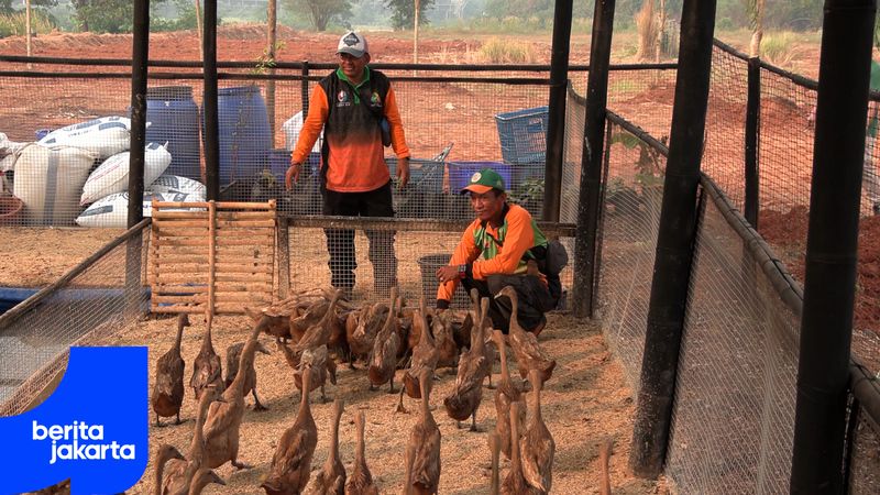 Jakarta Set to Develop Integrated Food Security Hub in Ciangir
