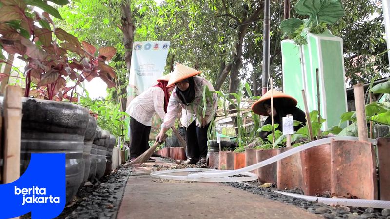 Lahan Terbengkalai di RW 07 Grogol, Disulap Jadi Lahan Urban Farming