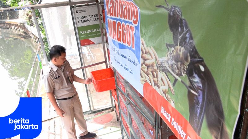 Penataan Kawasan Kelurahan Gambir Padukan Penghijauan dan Pilah Sampah