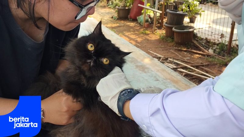 Layanan Vaksinasi HPR Gratis di Jakarta Barat Disambut Antusias Warga