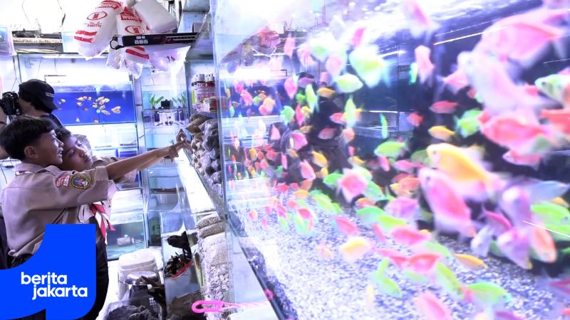 Gebyar Edukasi Kenalkan Potensi Ikan Hias Jakarta Barat