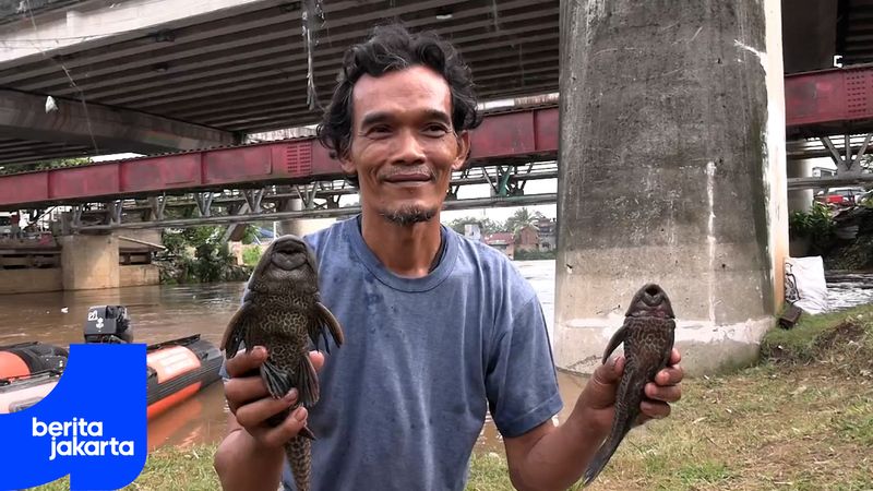 Ini Bahaya Mengonsumsi Ikan Sapu-sapu dalam Jangka Panjang
