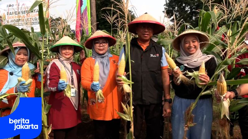 East Jakarta Mass Harvest Yields 1.1 Tons of Corn