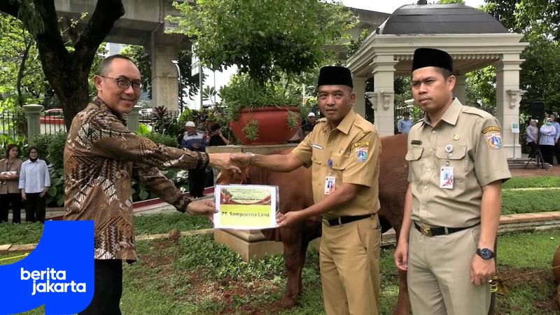 Pemkot Jaksel Terima 40 Hewan Kurban dari Swasta