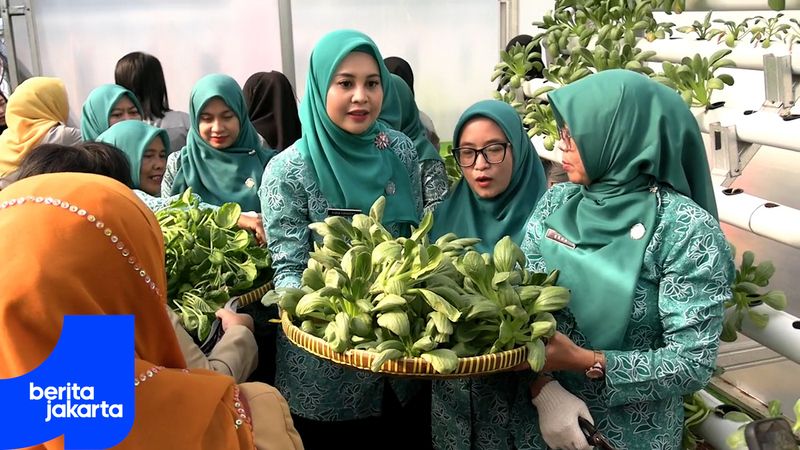 Harvest in North Jakarta Yielded 703 Kilograms of Food Products