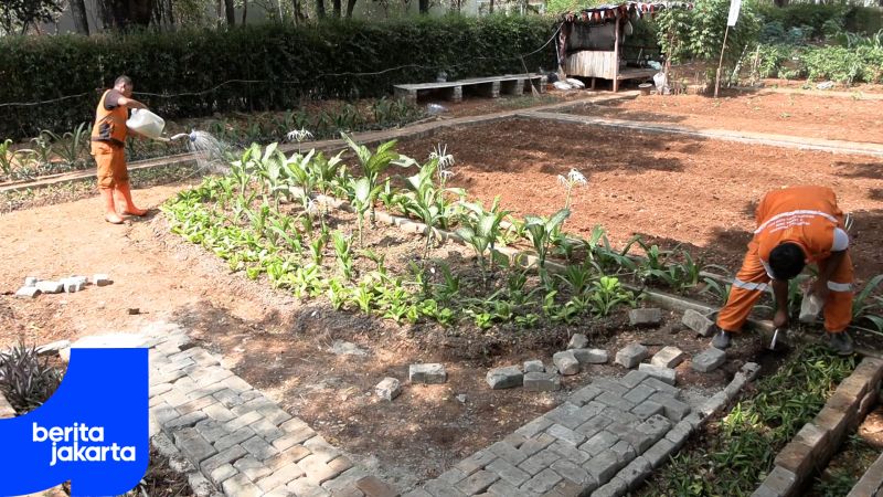 Kelurahan Kelapa Gading Barat Hadirkan Taman dan Lahan Urban Farming