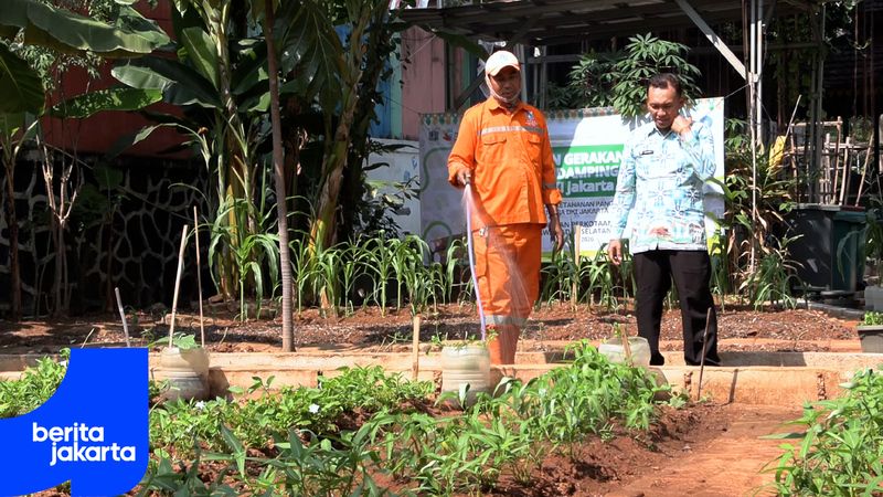 Belajar Ketahanan Pangan di Taman Pertanian Perkotaan Rawa Badak Selatan