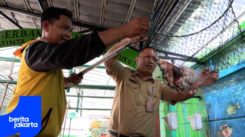 Halaman Kantor Kelurahan Krukut Dioptimalkan Jadi Lahan Urban Farming