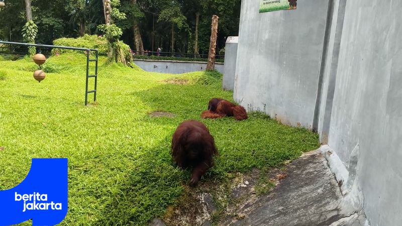 60.000 Wisatawan Padati TMR