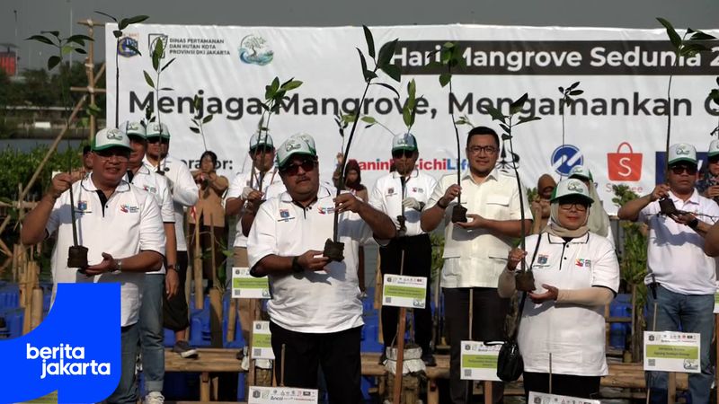 DKI Tanam Serentak 21.060 Bibit Mangrove di Lima Lokasi