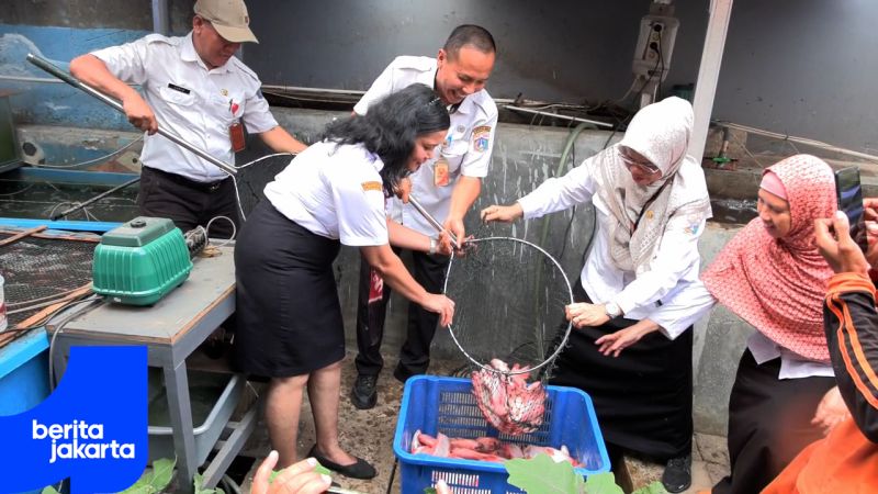 nila-xPZPspI7-20261028151327-thumbnail.jpg
