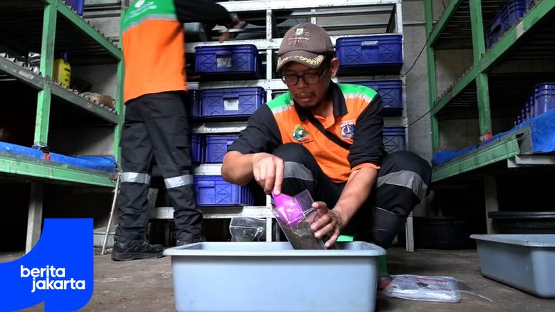 Padepokan Restu Bumi Ciracas Olah Sampah Organik Jadi Pakan Maggot