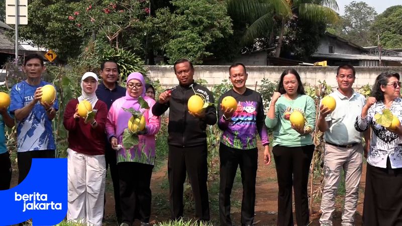 Pemkot Jaktim Panen 100 Buah Golden Melon di Rawamangun