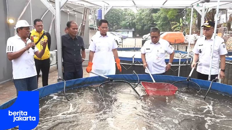 Wali Kota Jaksel Pimpin Panen Ikan dan Sayur di Gandaria Utara