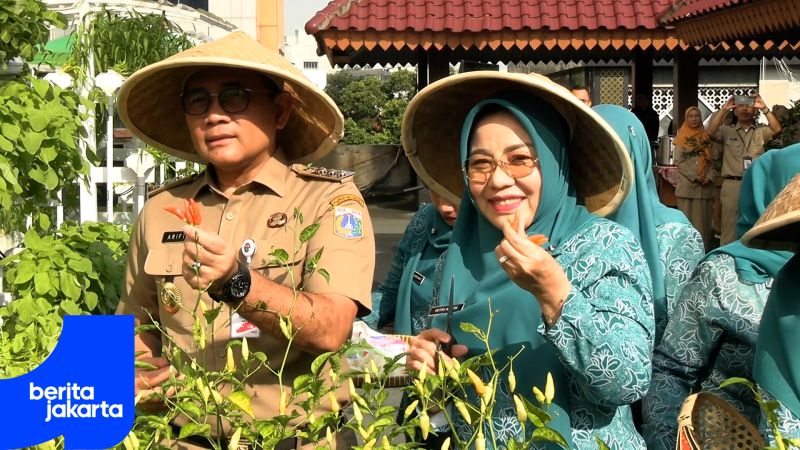 Panen Raya Jakpus Dukung Program Ketahanan Pangan