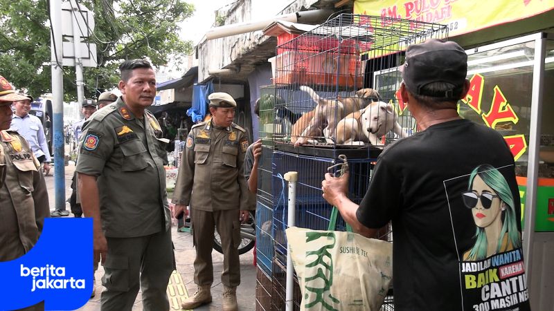 Satpol PP Intensifies Controlling at Jatinegara Ornamental Fish Market