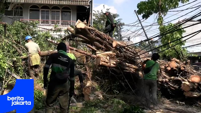 Petugas Gerak Cepat Tangani Pohon Tumbang di Jalan Raya Cipayung