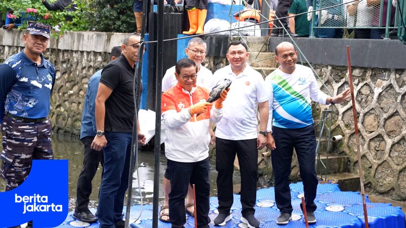 PRAM SAPU SAPU eng.jpg