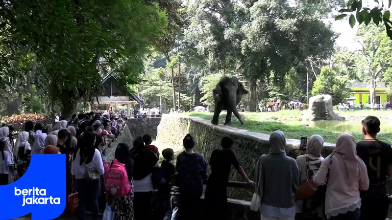 Crowds Flock to Ragunan Zoo as School Holidays Begin