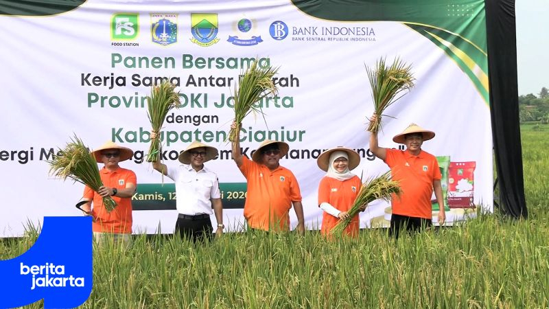 Pastikan Stok Pangan, Rano Hadiri Panen Bersama di Cianjur