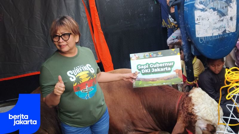 Rano Serahkan Sapi Kurban Gubernur ke Warga Tangki