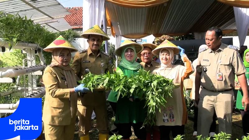 Pemkot Jaksel Gelar Panen Labu Madu Serentak di Pesanggrahan