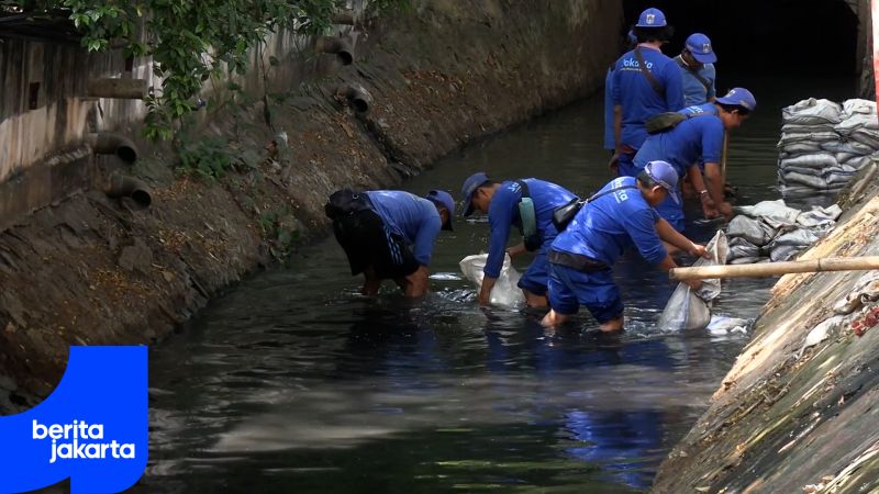 Sedimen Lumpur di Saluran Phb Kali Probolinggo Dikuras