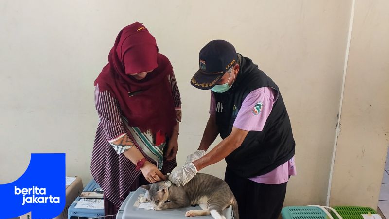 Sterilisasi Kucing Gratis Disambut Antusias Warga