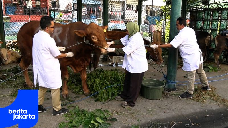 155 Animal Inspection Officers Deployed in Central Jakarta