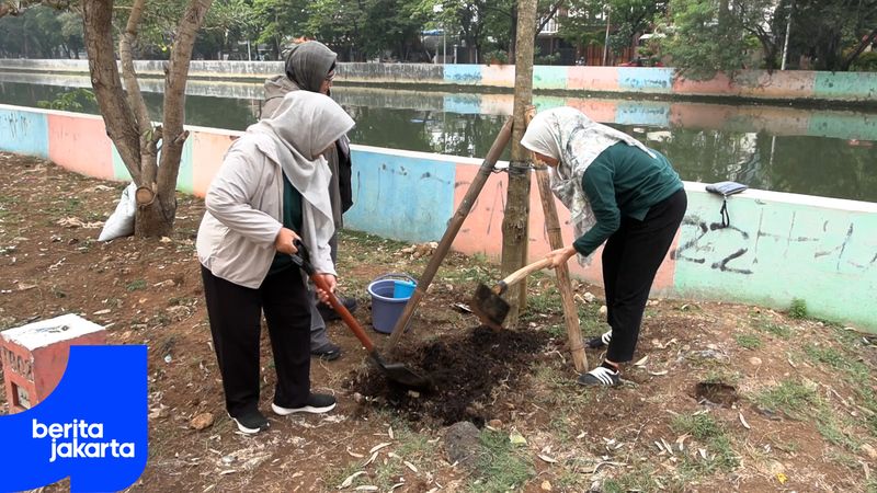 10 Pohon Tabebuya Ditanam di  Bantaran Kali Sunter